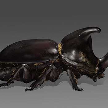 NPC Animal Concept.